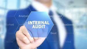 Manager Internal Audit