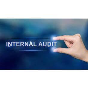 Medewerker Internal Audit