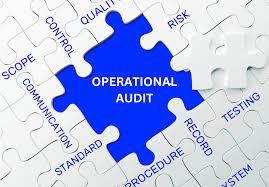 Operational Auditor